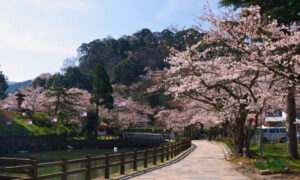 鹿野城跡公園2