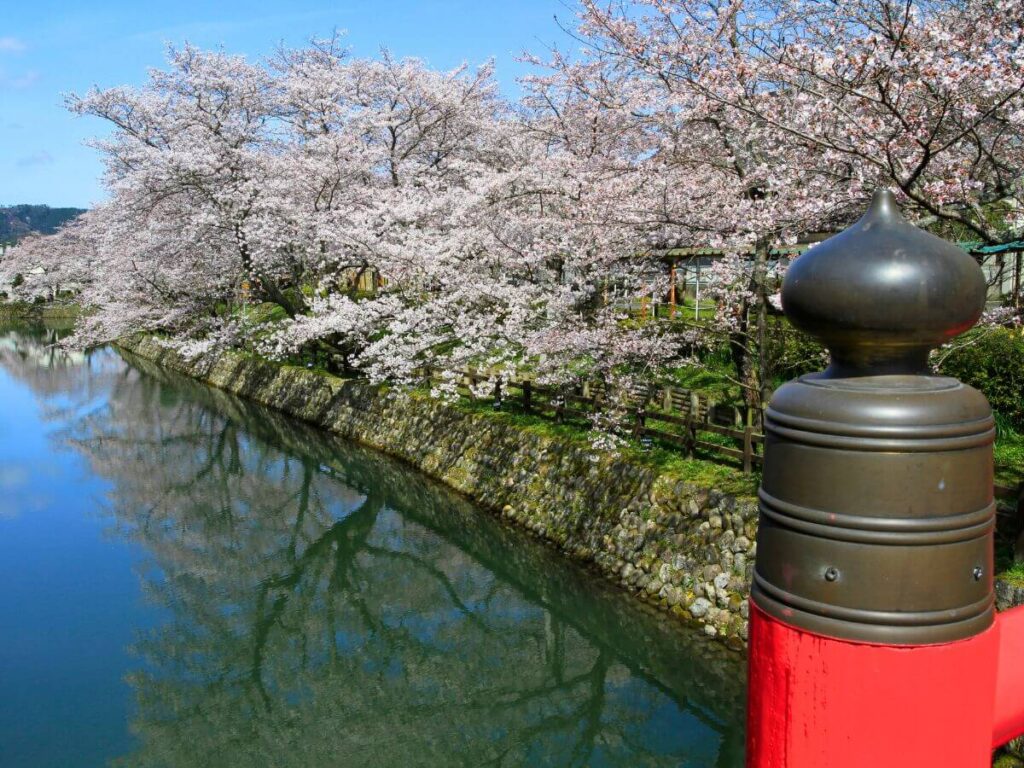 鹿野城跡公園の桜